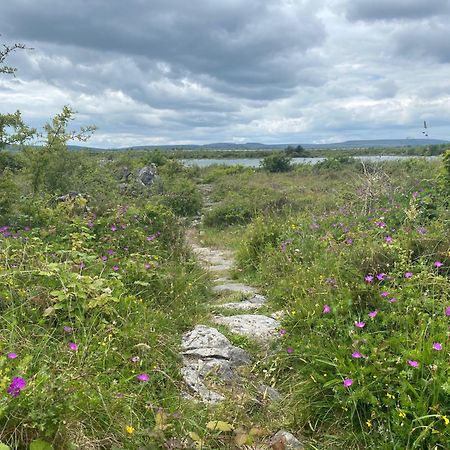 Boston Luxury Glamping Dome With Views Of The Burrenヴィラ エクステリア 写真