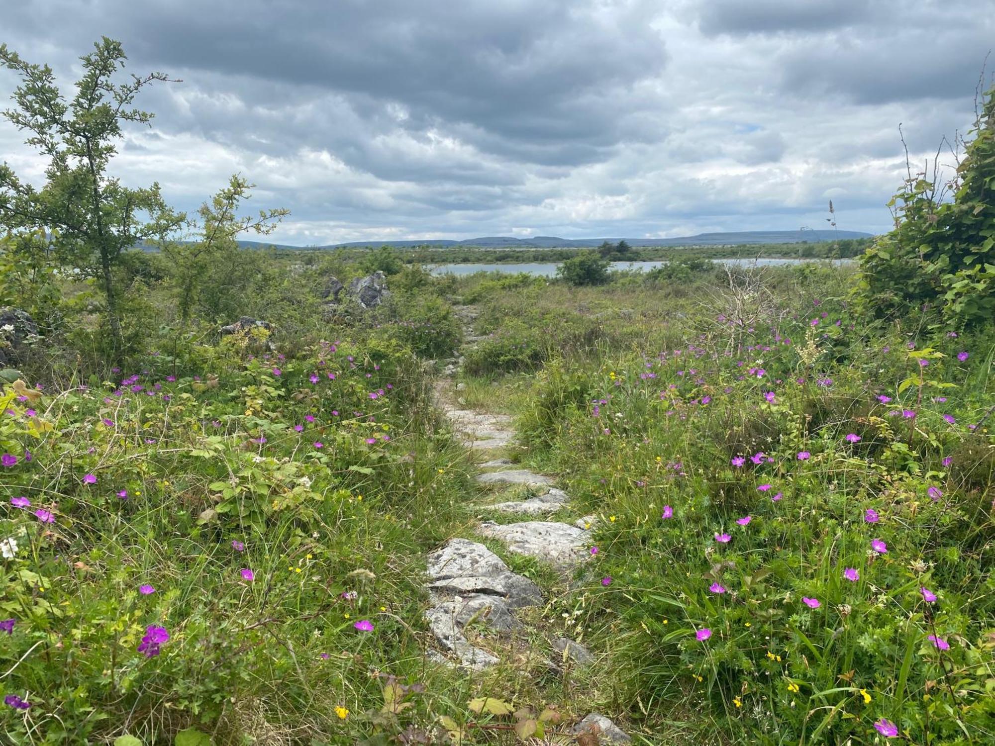 Boston Luxury Glamping Dome With Views Of The Burrenヴィラ エクステリア 写真